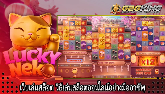 เว็บเล่นสล็อต วิธีเล่นสล็อตออนไลน์อย่างมืออาชีพ