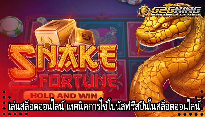 เล่นสล็อตออนไลน์ เทคนิคการใช้โบนัสฟรีสปินในสล็อตออนไลน์